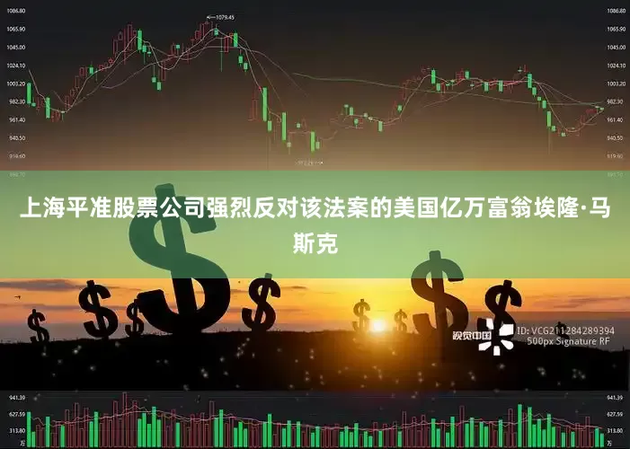 上海平准股票公司强烈反对该法案的美国亿万富翁埃隆·马斯克