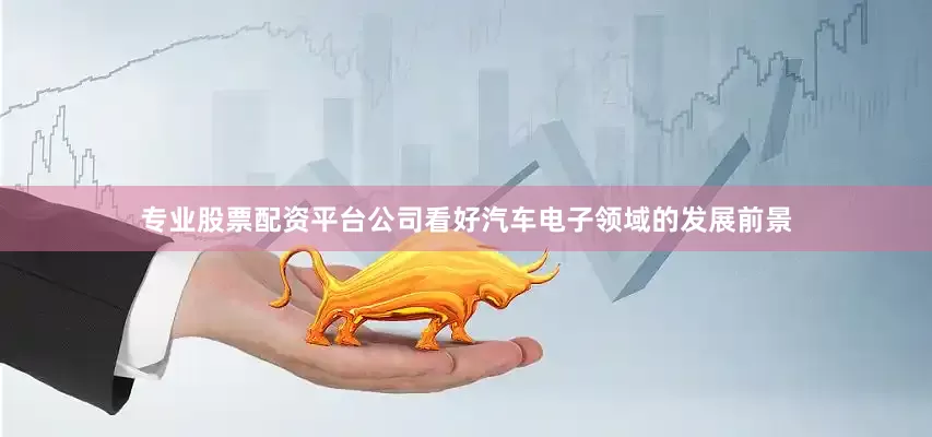专业股票配资平台公司看好汽车电子领域的发展前景